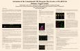 Activation of the Cannabinoid CB1 Receptor May Involve a W6.48F3.36 Rotamer Toggle Switch