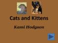 Cats and Kittens
