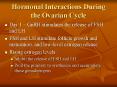 Hormonal Interactions During the Ovarian Cycle