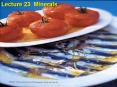 Lecture 23 Minerals