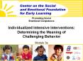 Promoting Social Emotional Competence Individualized Intensive Interventions: Determining the Meaning of Challenging Behavior