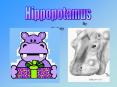 Hippopotamus