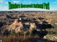 Theodore Roosevelt National Park