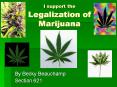 I support the Legalization of Marijuana