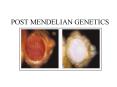 MEIOSIS