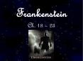 Frankenstein Ch. 18 23