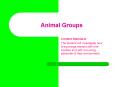 Animal Groups