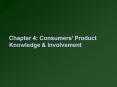 Chapter 4: Consumers Product Knowledge
