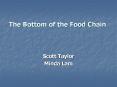 The Bottom of the Food Chain
