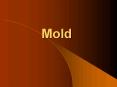 Mold