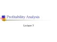 Profitability Analysis
