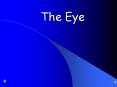 The Eye