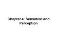 Chapter 4: Sensation and Perception