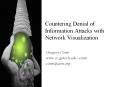 Countering Denial of Information Attacks with Network Visualization