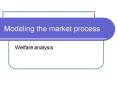 Modeling the market process