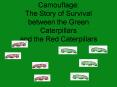 Camouflage: The Story of Survival between the Green Caterpillars and the Red Caterpillars