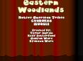 Eastern Woodlands
