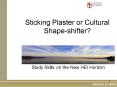 Sticking Plaster or Cultural Shapeshifter