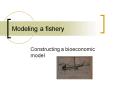 Modeling a fishery
