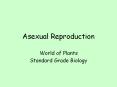 Asexual Reproduction