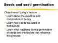 Seeds and seed germination