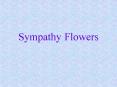 Sympathy Flowers