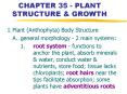 CHAPTER 35 PLANT STRUCTURE