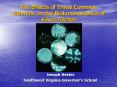 The Effects of Three Common Vitamins on the Bioluminescence of Vibrio fischeri