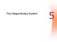 The Integumentary System