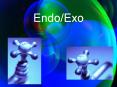 EndoExo