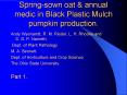 Spring-sown oat