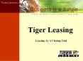 Tiger Leasing