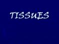 TISSUES
