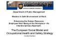 Department of Public Management Masters in Safe Environment at Work Enhancing the Human Resource: Em
