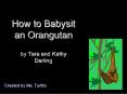 How to Babysit an Orangutan by Tara and Kathy Darling
