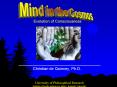 Evolution of Consciousness