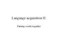 Language acquisition II: