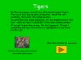 Tigers