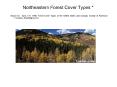 Northeastern Forest Cover Types