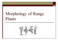 Morphology of Range Plants