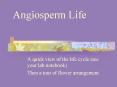Angiosperm Life