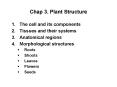 Chap 3. Plant Structure