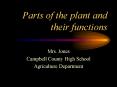 Parts of the plant and their functions