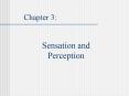 Sensation and Perception