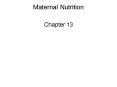 Maternal Nutrition