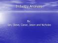 Industry Analysis
