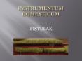 Instrumentum Domesticum