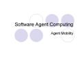 Software Agent Computing