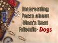 Interesting Facts about Mens Best Friends Dogs