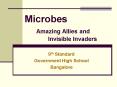 Microbes Amazing Allies and Invisible Invaders